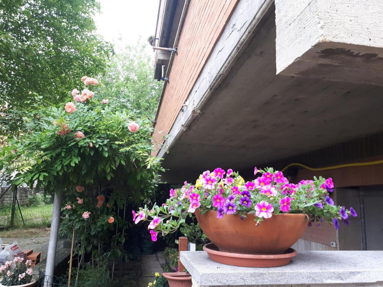 B&B Papa Leone Countryrooms Roma Exterior foto