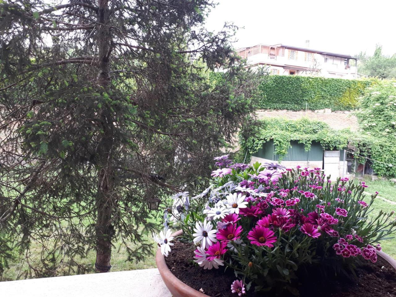 B&B Papa Leone Countryrooms Roma Exterior foto