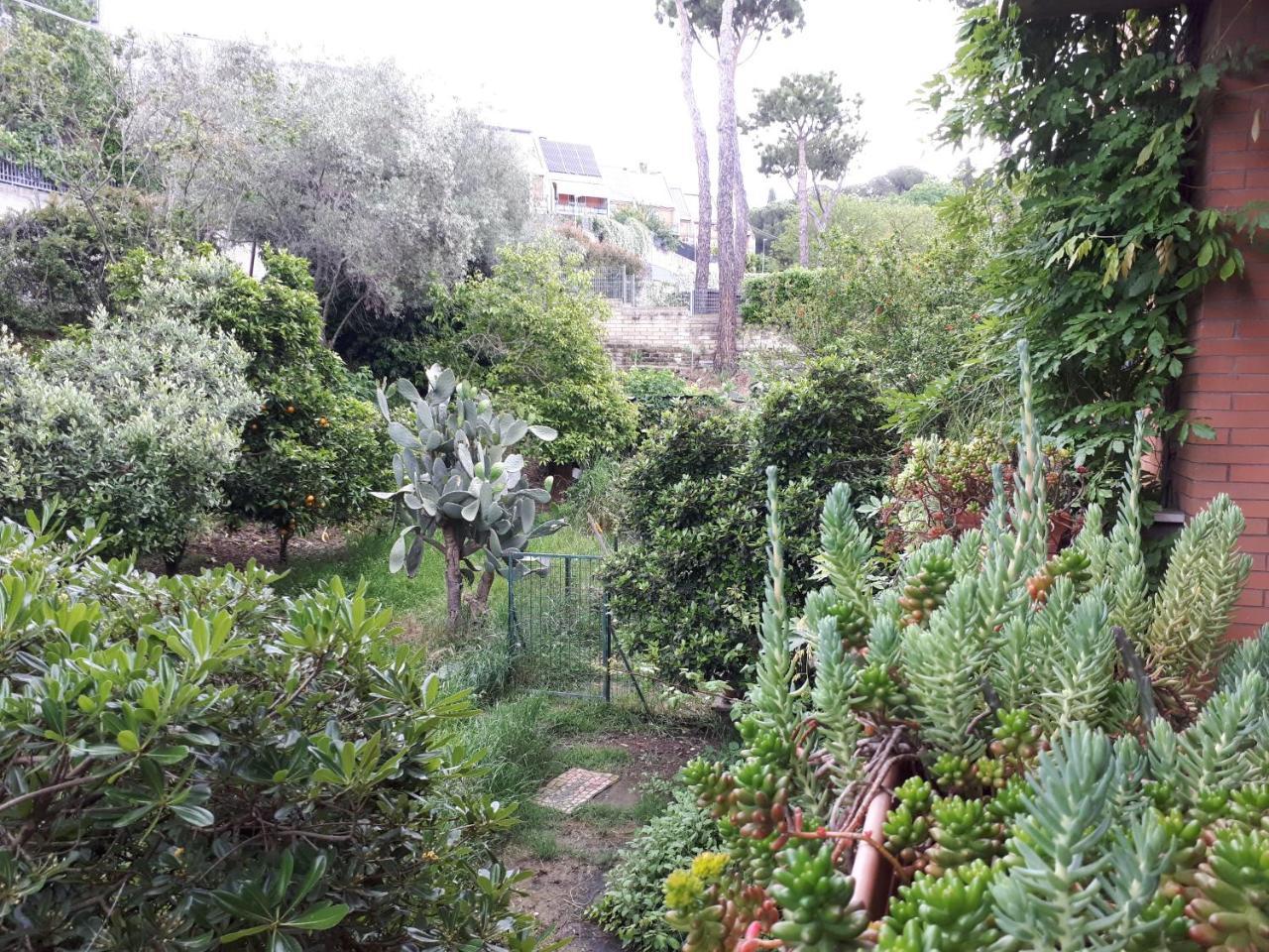 B&B Papa Leone Countryrooms Roma Exterior foto